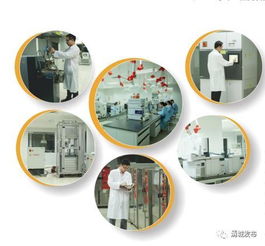 為金發(fā)科技研發(fā)團(tuán)隊(duì)點(diǎn)贊 亞太第一、全球第二的環(huán)保科技先鋒